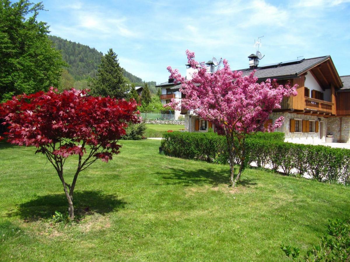 Ca'Milla B&B Nelle Dolomiti Pieve di Cadore Ngoại thất bức ảnh