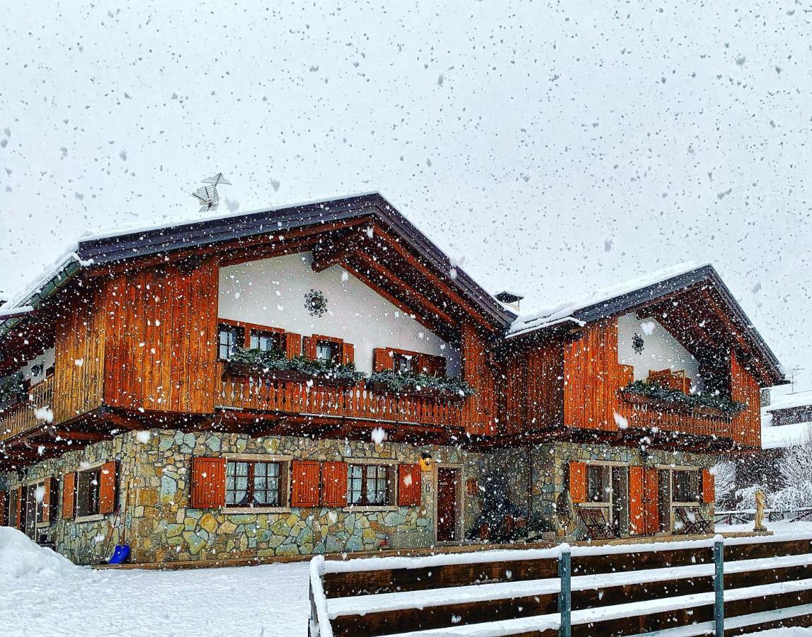 Ca'Milla B&B Nelle Dolomiti Pieve di Cadore Ngoại thất bức ảnh
